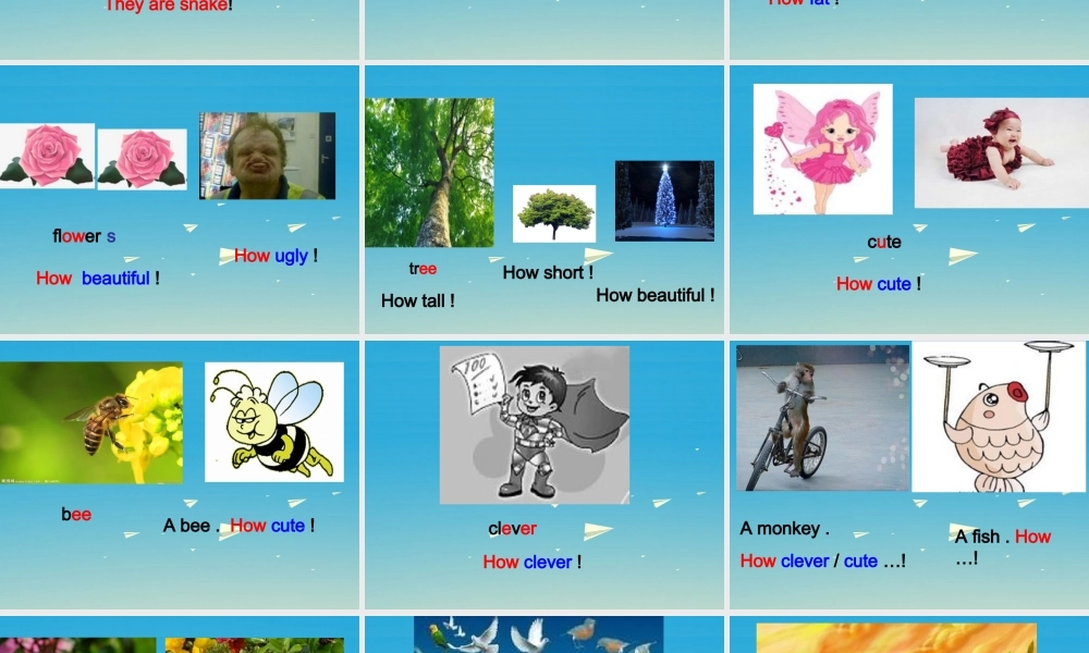 三年级英语下册 Lesson W So many ants课件 川教版（三起）-川教版小学三年级下册英语课件