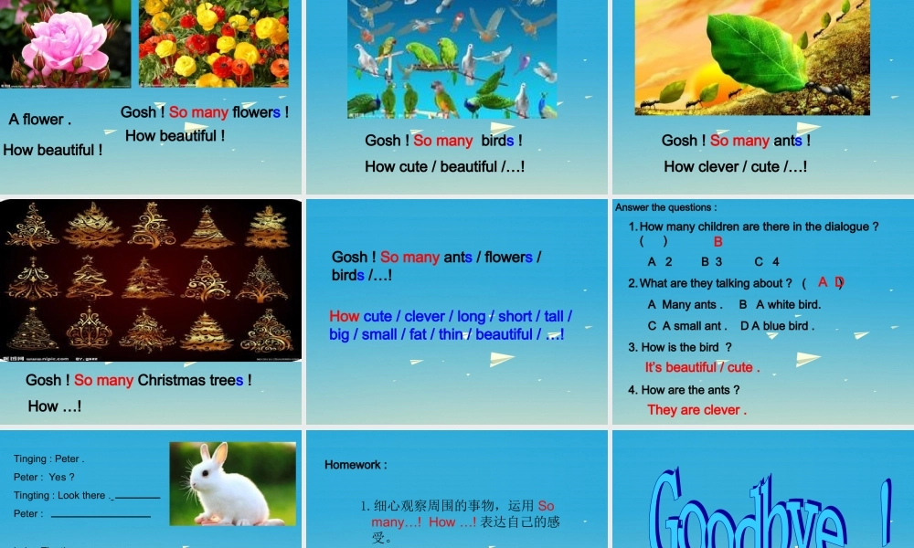 三年级英语下册 Lesson W So many ants课件 川教版（三起）-川教版小学三年级下册英语课件