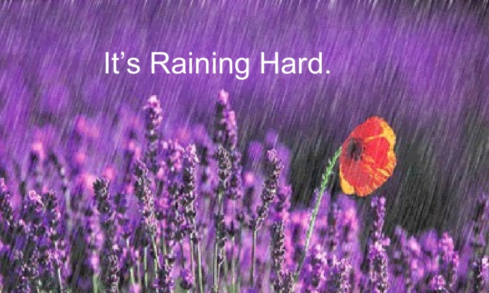 三年级英语下册 Lesson X It's raining hard课件2 川教版（三起）-川教版小学三年级下册英语课件