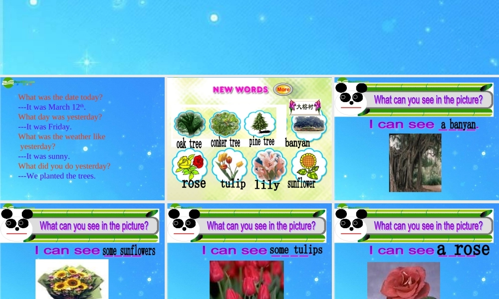 三年级英语下册 tree planting day课件 人教新起点版