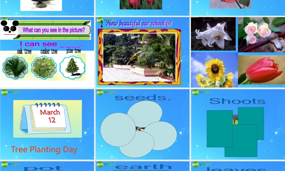 三年级英语下册 tree planting day课件 人教新起点版