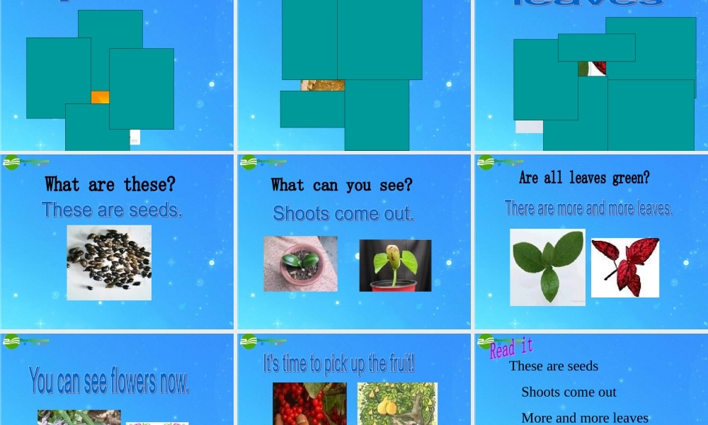 三年级英语下册 tree planting day课件 人教新起点版