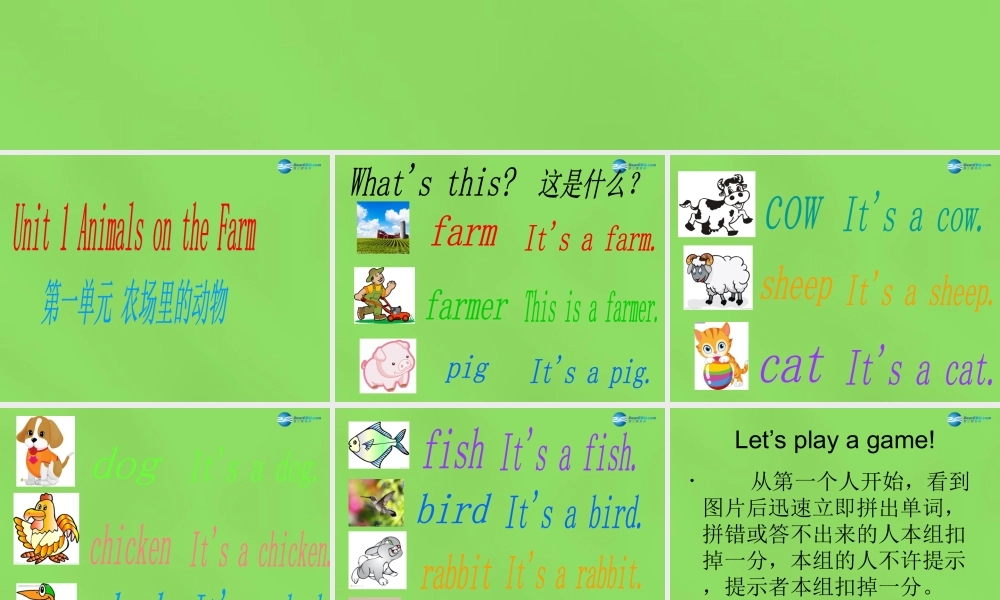 三年级英语下册 Unit 1 Animals on the farm  Lesson 6 Can I Help you课件 冀教版（三起）-冀教版小学三年级下册英语课件
