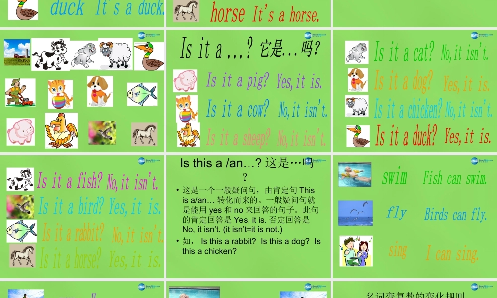 三年级英语下册 Unit 1 Animals on the farm  Lesson 6 Can I Help you课件 冀教版（三起）-冀教版小学三年级下册英语课件