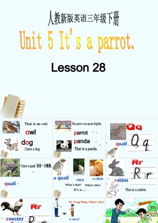 三年级英语下册 Lesson28课件 人教新版