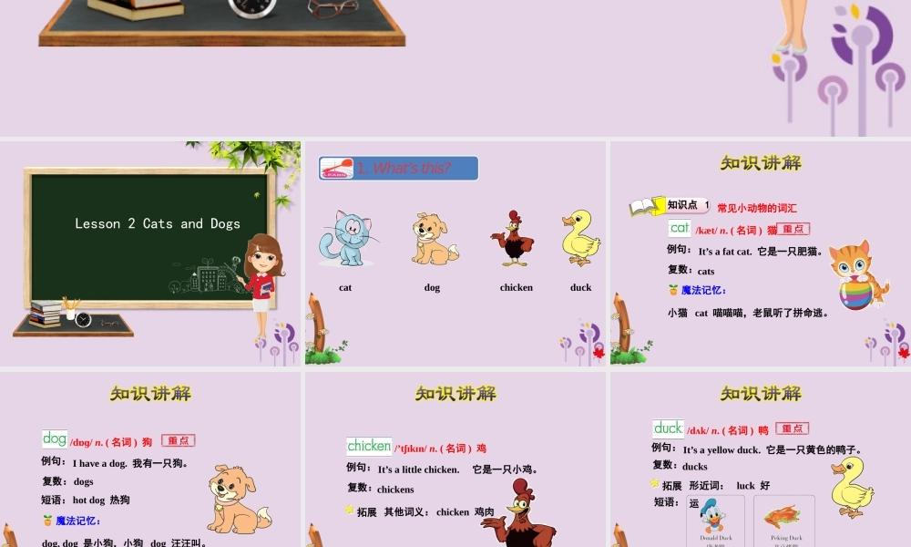 三年级英语下册 Unit 1 Animals on the farm Lesson 2 Cats and Dogs课件 冀教版（三起）-冀教版小学三年级下册英语课件