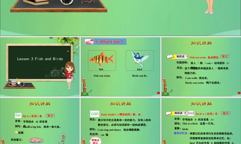 三年级英语下册 Unit 1 Animals on the farm Lesson 3 Fish and Birds课件 冀教版（三起）-冀教版小学三年级下册英语课件