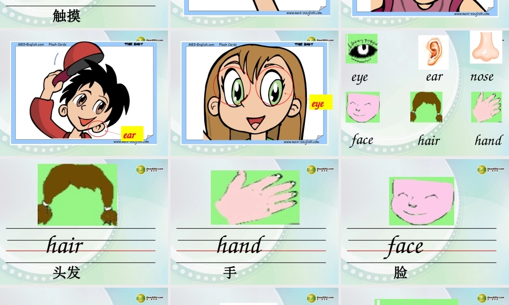 三年级英语上册 Unit5 wash your face课件 广州版