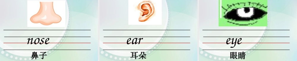 三年级英语上册 Unit5 wash your face课件 广州版