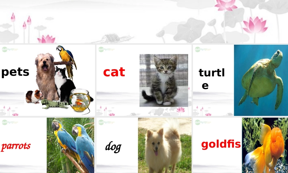 三年级英语上册 Unit5(2)课件 人教新起点