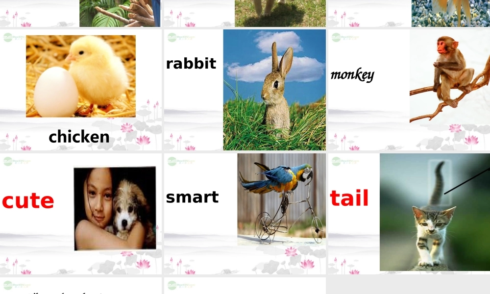 三年级英语上册 Unit5(2)课件 人教新起点