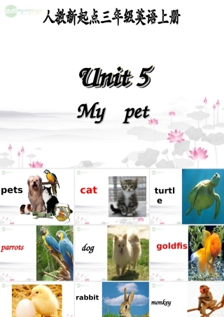 三年级英语上册 Unit5(2)课件 人教新起点