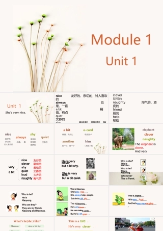 三年级英语下册 Module 1 Unit 1 She’s very nice课件3 外研版（一起）-外研版小学三年级下册英语课件