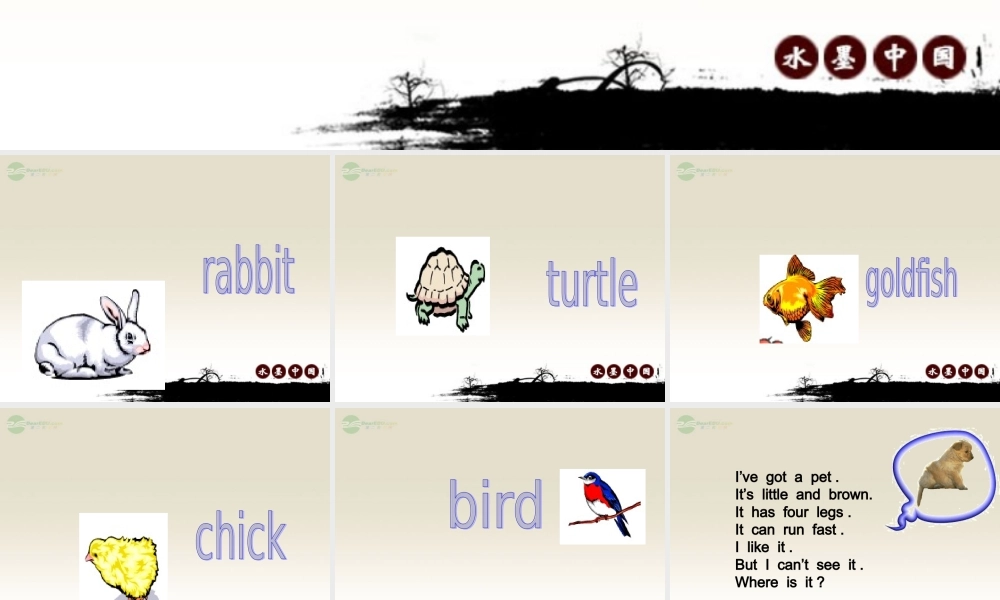 三年级英语上册 Unit5课件 人教新起点