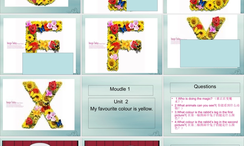 三年级英语下册 Module 1 Unit 2 My favourite colour is yellow（1）教学课件 外研版（三起）-外研版小学三年级下册英语课件