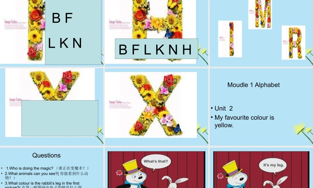 三年级英语下册 Module 1 Unit 2 My favourite colour is yellow（2）教学课件 外研版（三起）-外研版小学三年级下册英语课件