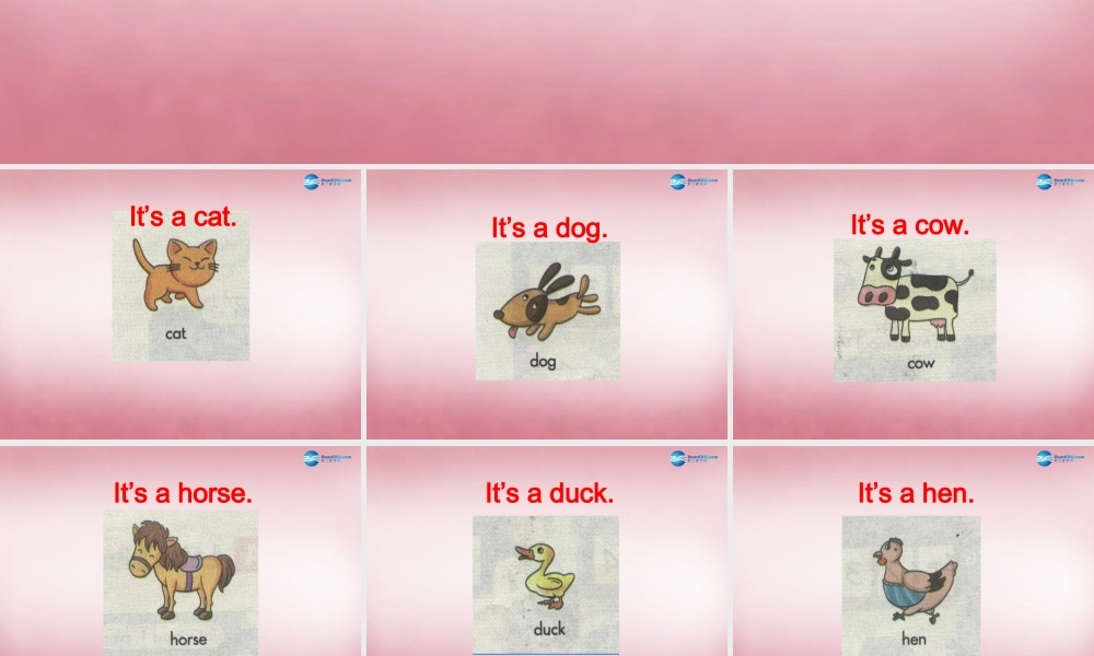 三年级英语上册 Unit7 it's a dog课件1 （新版）湘少版