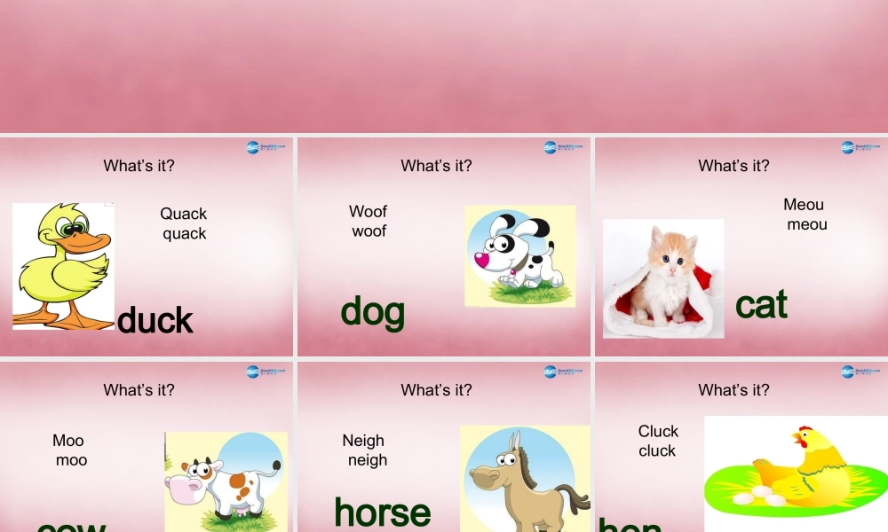 三年级英语上册 Unit7 it's a dog课件2 （新版）湘少版