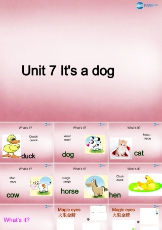 三年级英语上册 Unit7 it's a dog课件2 （新版）湘少版