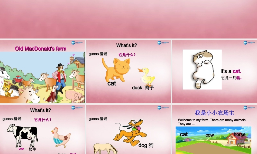 三年级英语上册 Unit7 it's a dog课件3 （新版）湘少版