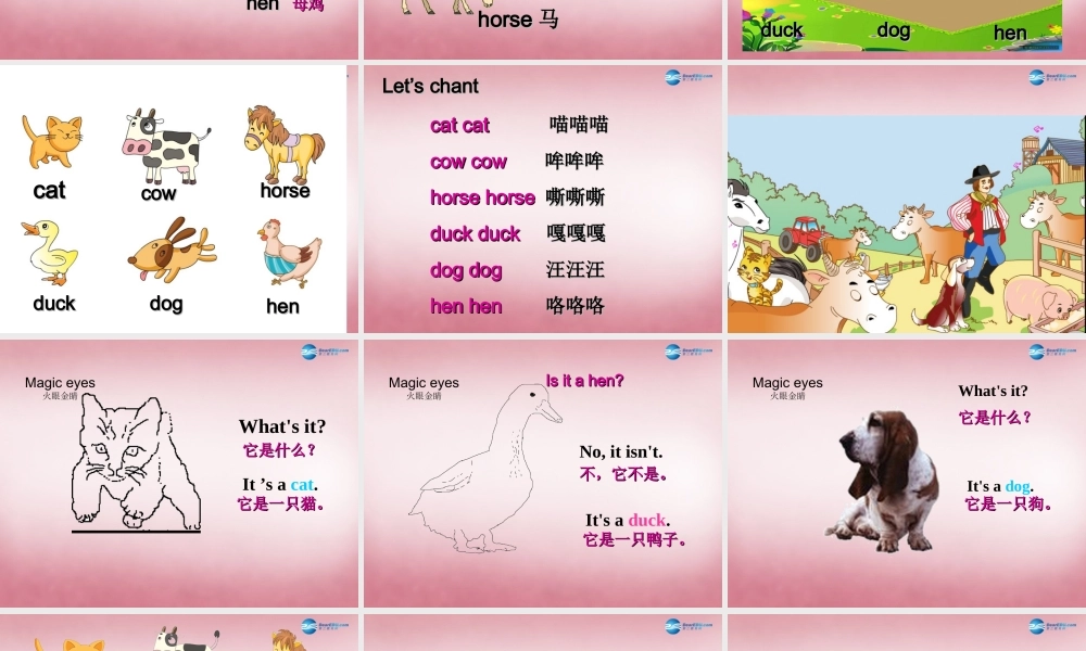 三年级英语上册 Unit7 it's a dog课件3 （新版）湘少版