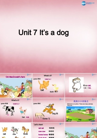 三年级英语上册 Unit7 it's a dog课件3 （新版）湘少版