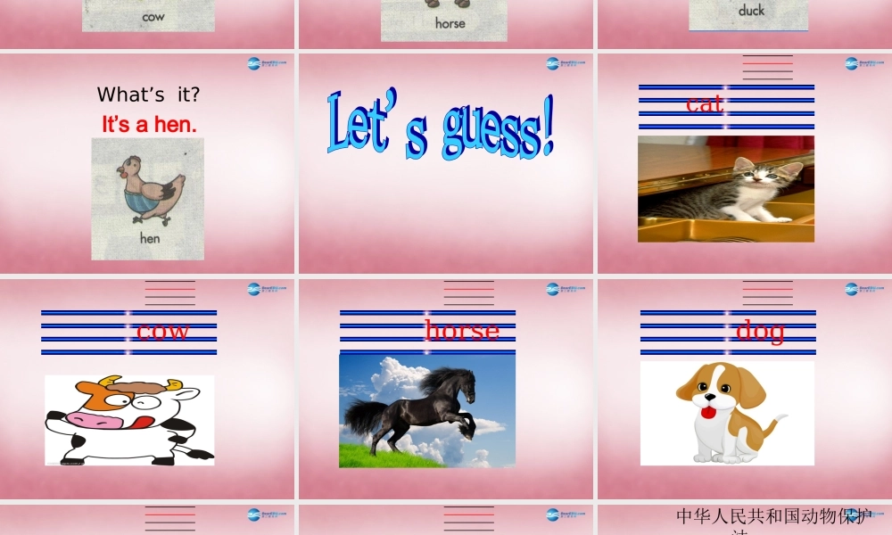 三年级英语上册 Unit7 it's a dog课件4 （新版）湘少版