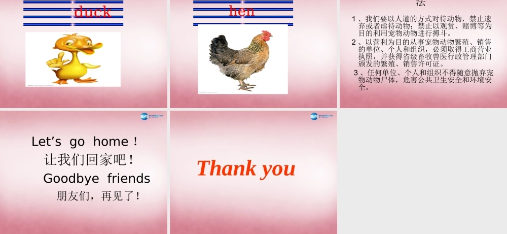 三年级英语上册 Unit7 it's a dog课件4 （新版）湘少版