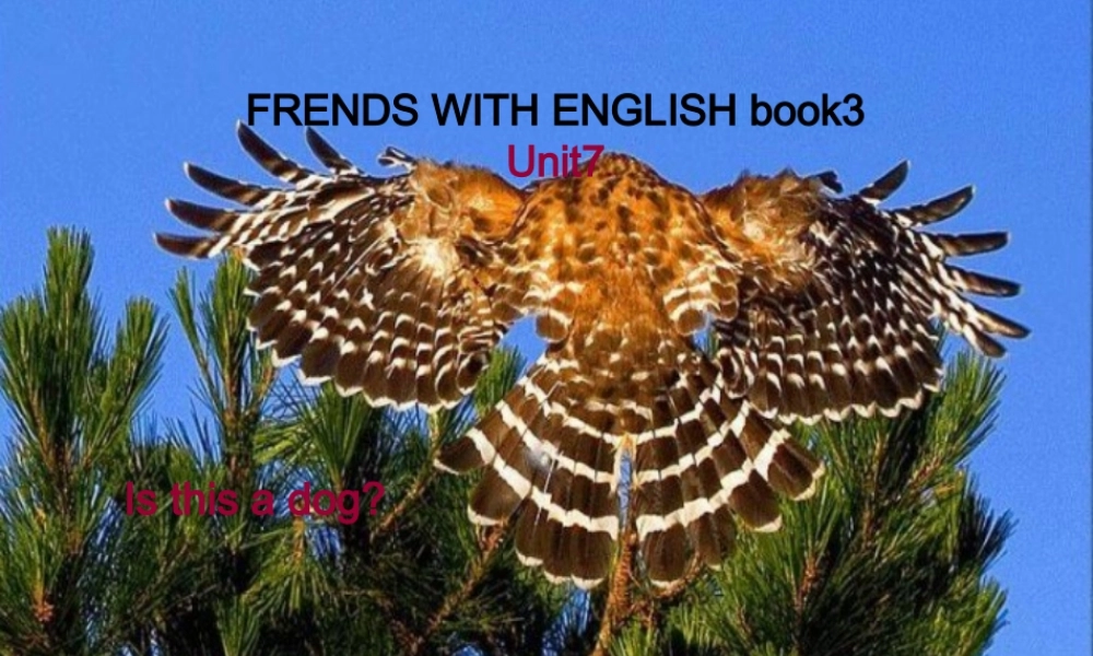 三年级英语上册 unit7（4）课件 广东版开心