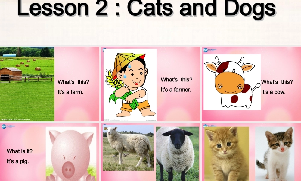 三年级英语下册 Unit 1 Lesson2 Cats and Dogs课件 冀教版（三起）-冀教版小学三年级下册英语课件
