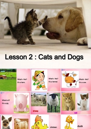 三年级英语下册 Unit 1 Lesson2 Cats and Dogs课件 冀教版（三起）-冀教版小学三年级下册英语课件