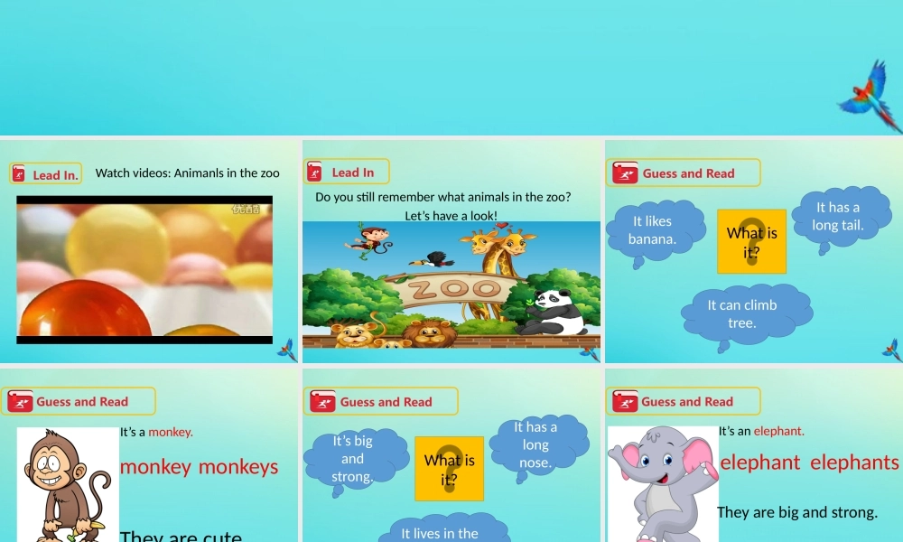 三年级英语下册 Module 2 My favourite things Unit 4 Animals in the zoo（第1课时）课件 牛津深圳版-牛津深圳版小学三年级下册英语课件