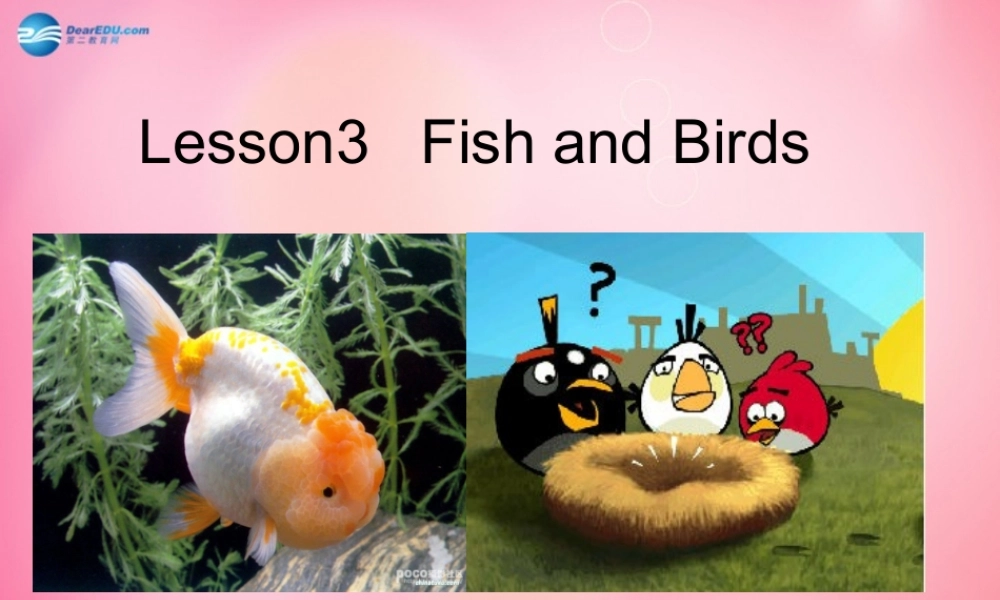 三年级英语下册 Unit 1 lesson3 fish and birds课件 冀教版（三起）-冀教版小学三年级下册英语课件