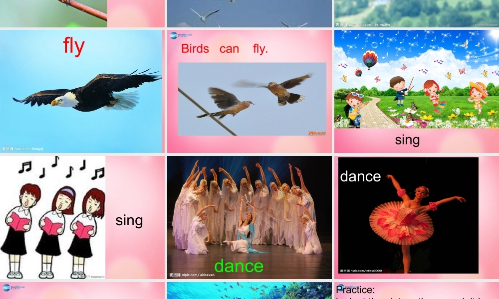 三年级英语下册 Unit 1 lesson3 fish and birds课件 冀教版（三起）-冀教版小学三年级下册英语课件