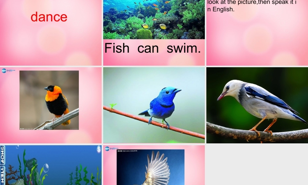 三年级英语下册 Unit 1 lesson3 fish and birds课件 冀教版（三起）-冀教版小学三年级下册英语课件
