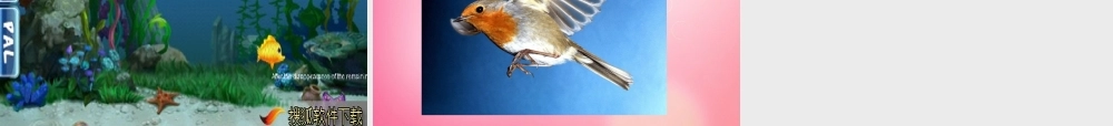 三年级英语下册 Unit 1 lesson3 fish and birds课件 冀教版（三起）-冀教版小学三年级下册英语课件