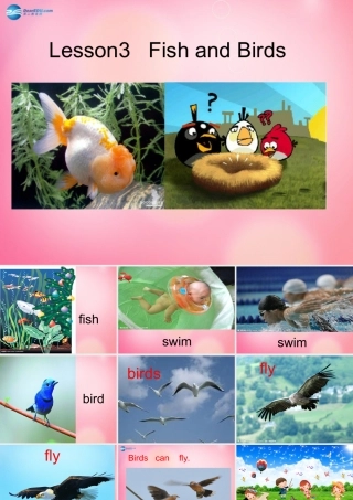 三年级英语下册 Unit 1 lesson3 fish and birds课件 冀教版（三起）-冀教版小学三年级下册英语课件