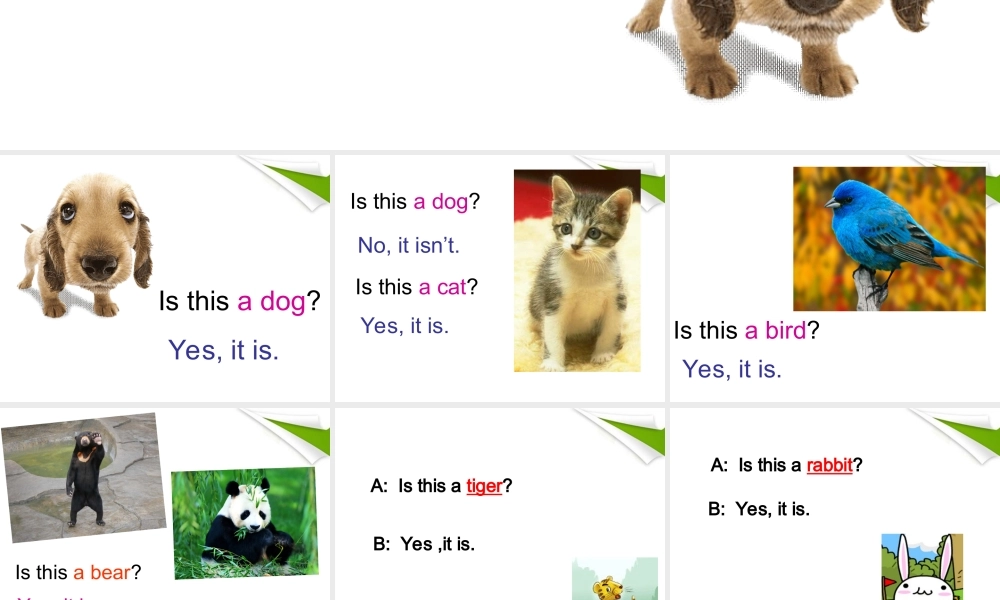 三年级英语上册 unit8课件 广东版开心