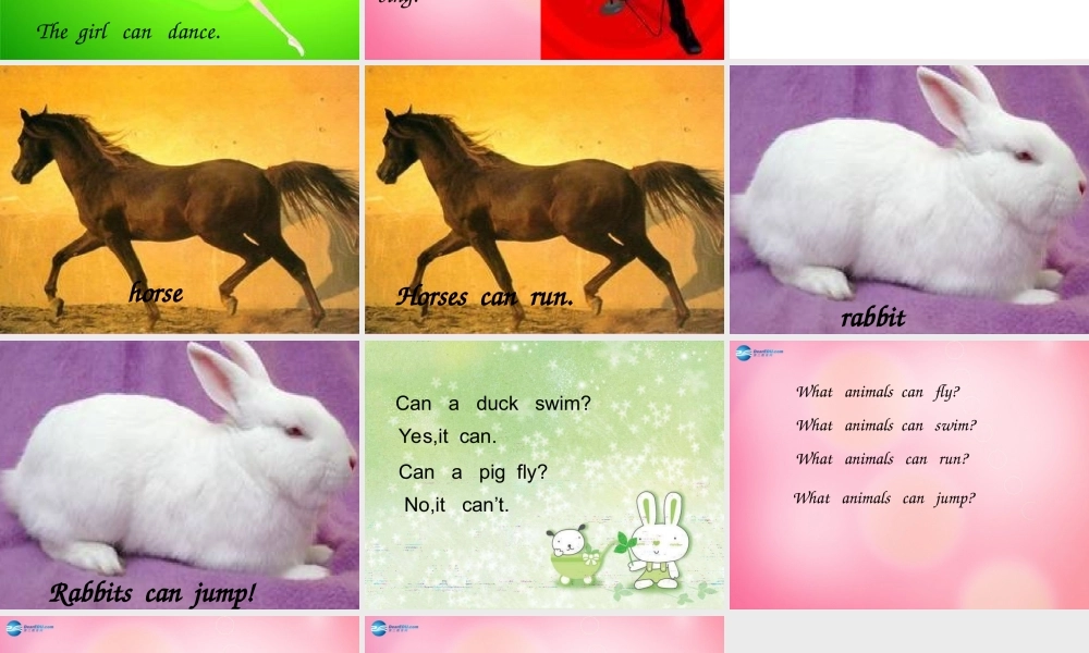 三年级英语下册 Unit 1 Lesson4 Horses and Rabbits课件 冀教版（三起）-冀教版小学三年级下册英语课件