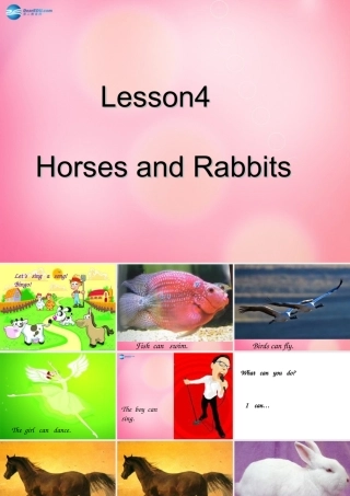 三年级英语下册 Unit 1 Lesson4 Horses and Rabbits课件 冀教版（三起）-冀教版小学三年级下册英语课件