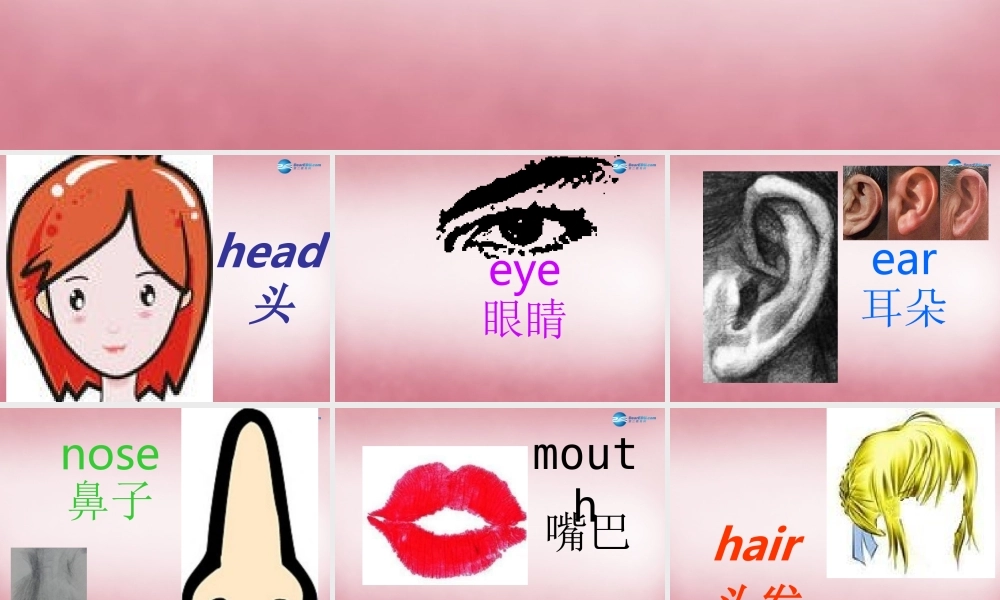 三年级英语上册 Unit9 It's a mouth课件1 （新版）湘少版