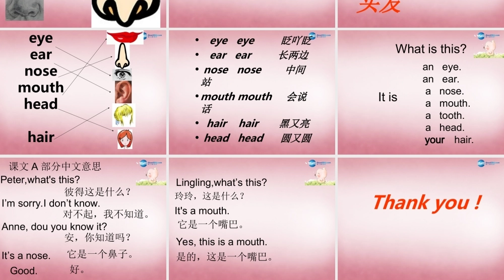 三年级英语上册 Unit9 It's a mouth课件1 （新版）湘少版