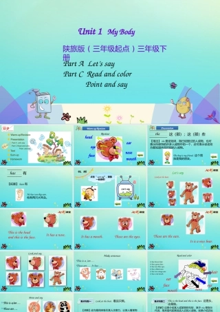 三年级英语下册 Unit 1 My Body（第2课时）课件 陕旅版（三起）-陕旅版小学三年级下册英语课件