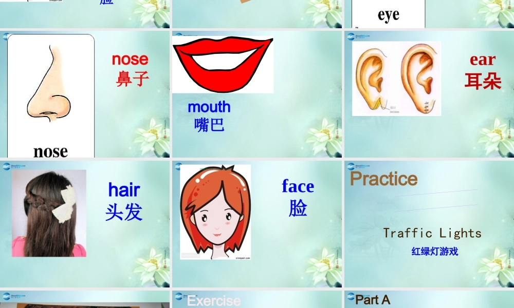 三年级英语上册 Unit9 It's a mouth课件3 （新版）湘少版