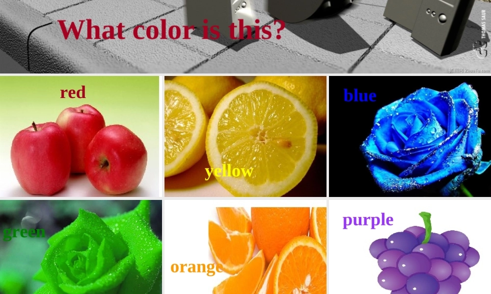 三年级英语上册 unit9（3）课件 广东版开心