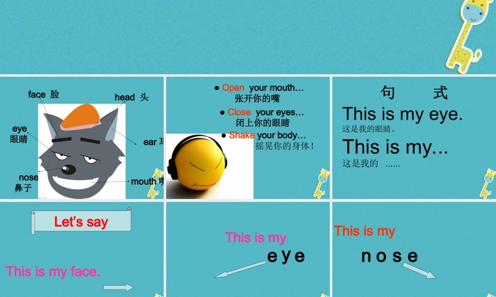 三年级英语下册 Unit 1 My Body课件 陕旅版-陕旅版小学三年级下册英语课件