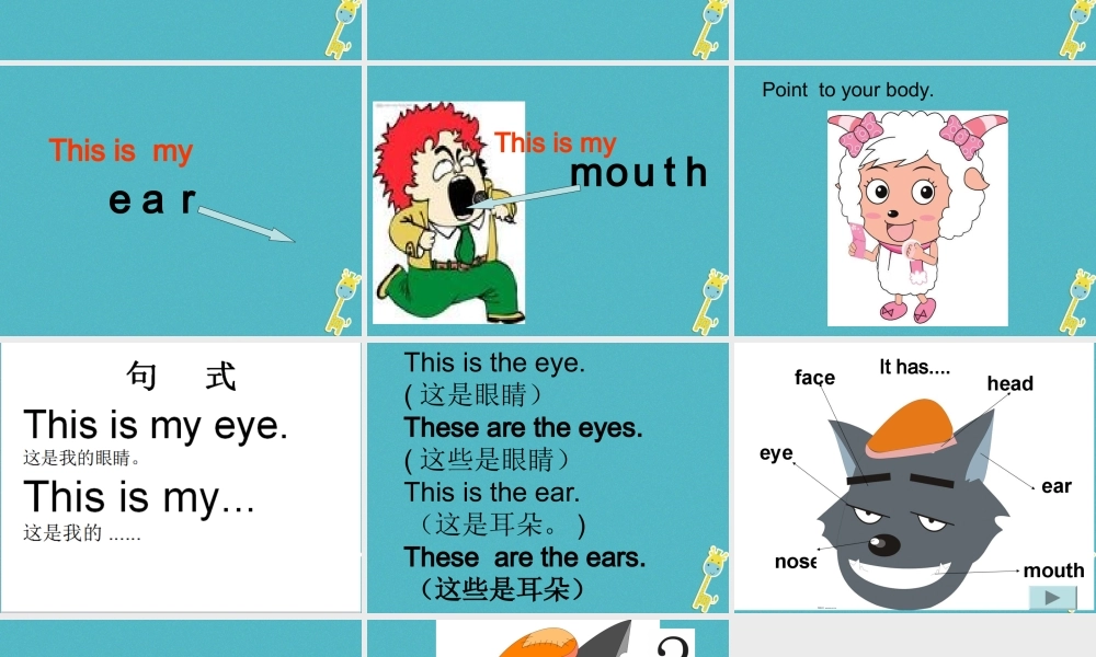 三年级英语下册 Unit 1 My Body课件 陕旅版-陕旅版小学三年级下册英语课件