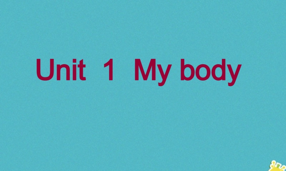 三年级英语下册 Unit 1 My Body课件1 陕旅版-陕旅版小学三年级下册英语课件