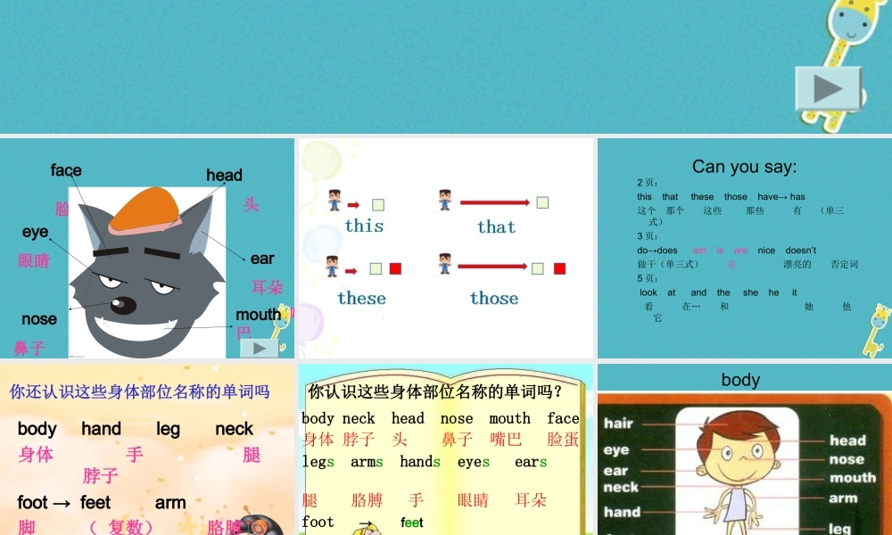 三年级英语下册 Unit 1 My Body课件1 陕旅版-陕旅版小学三年级下册英语课件