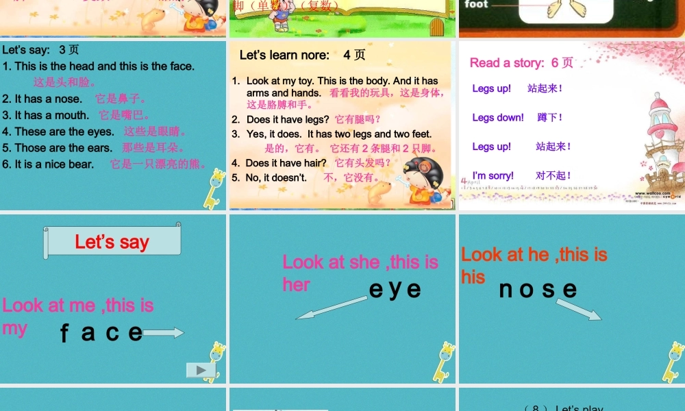 三年级英语下册 Unit 1 My Body课件1 陕旅版-陕旅版小学三年级下册英语课件